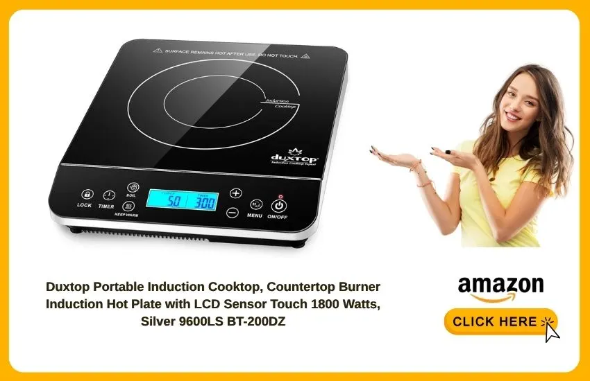 Duxtop Portable Induction